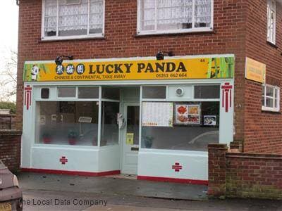 Lucky Panda image